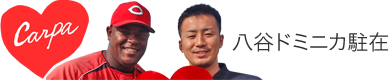 八谷ドミニカ駐在